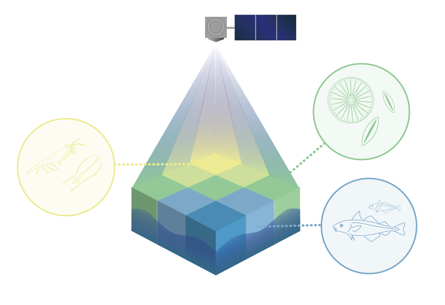 Illustration showing satellite data and krill, phytoplankton and fish