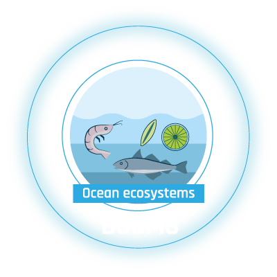 BOOMS LOGO